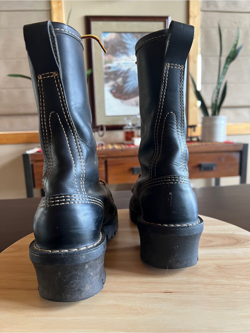 Danner Forest Fire Lace up LEATHER boots - Picture 3 of 8